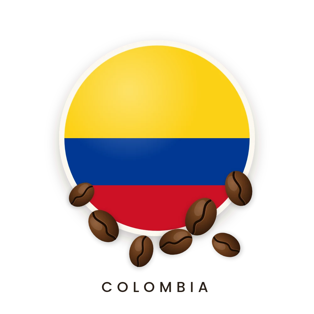 Charlotte — Colombia coffee beans