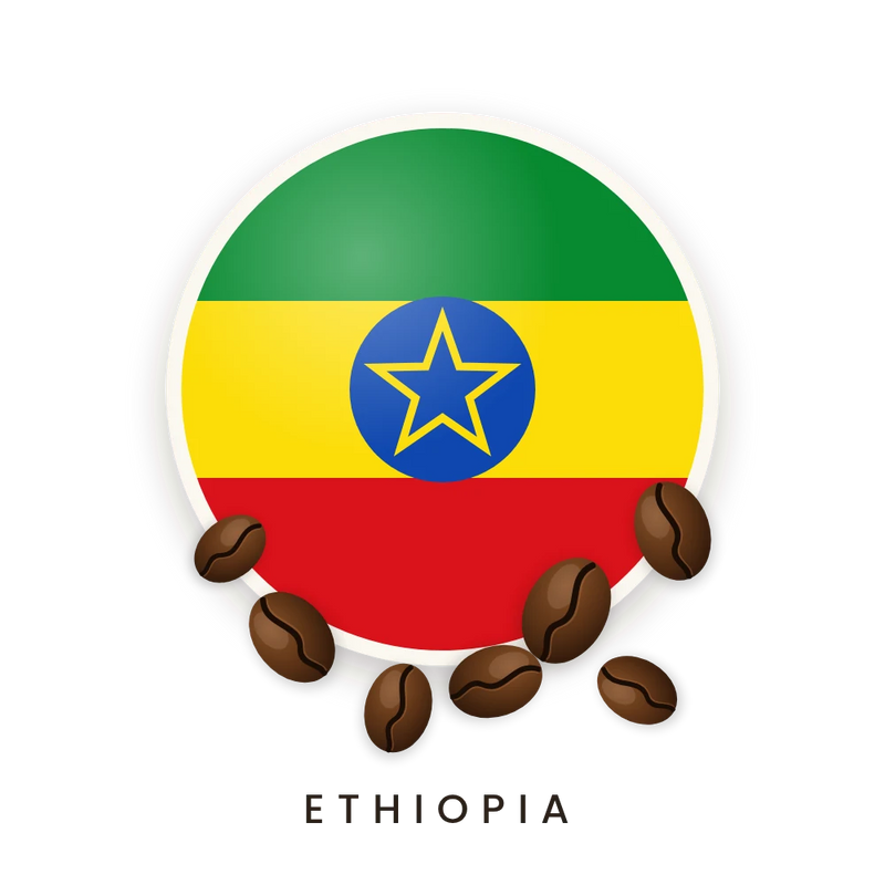 Chelchele — Ethiopia Coffee Beans