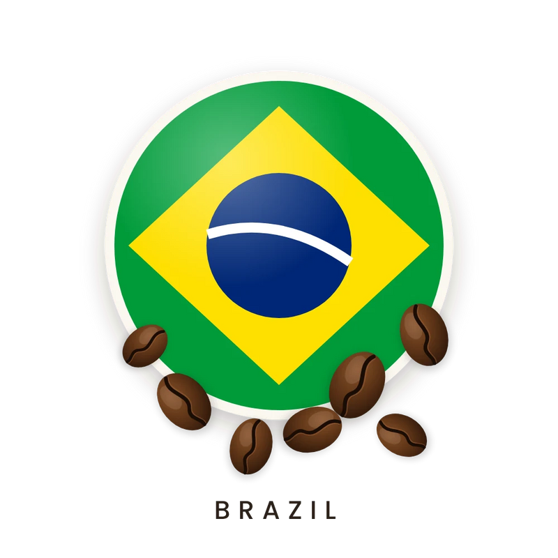 Fatima — Brazil Coffee Beans